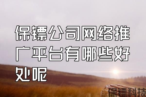 保鏢公司網(wǎng)絡推廣平臺有哪些好處呢