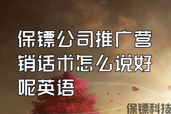 保鏢公司推廣營銷話術(shù)怎么說好呢英語