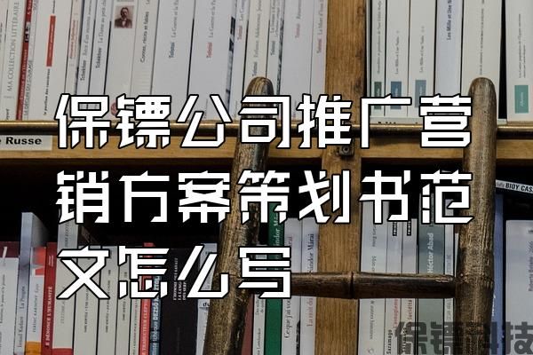 保鏢公司推廣營銷方案策劃書范文怎么寫