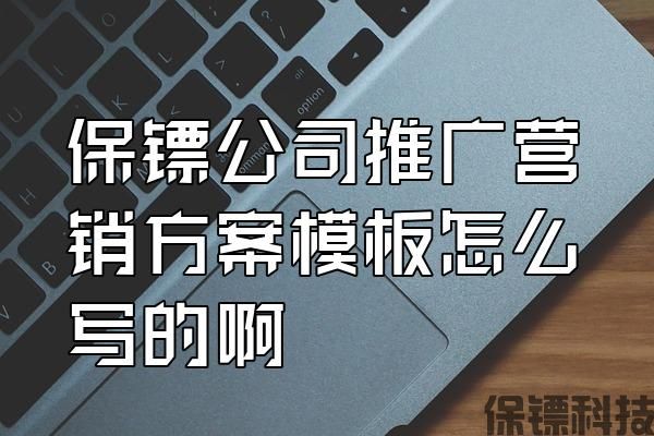 保鏢公司推廣營銷方案模板怎么寫的啊