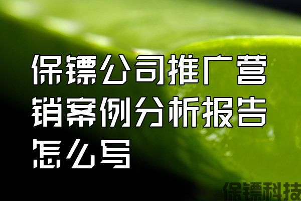 保鏢公司推廣營銷案例分析報告怎么寫