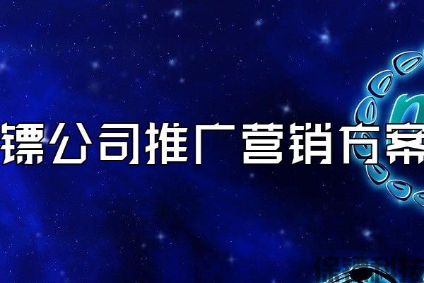 保鏢公司推廣營(yíng)銷方案