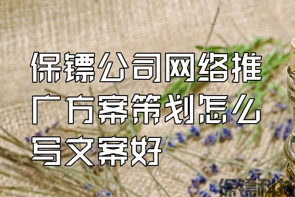 保鏢公司網(wǎng)絡(luò)推廣方案策劃怎么寫文案好