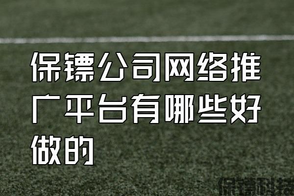 保鏢公司網(wǎng)絡推廣平臺有哪些好做的