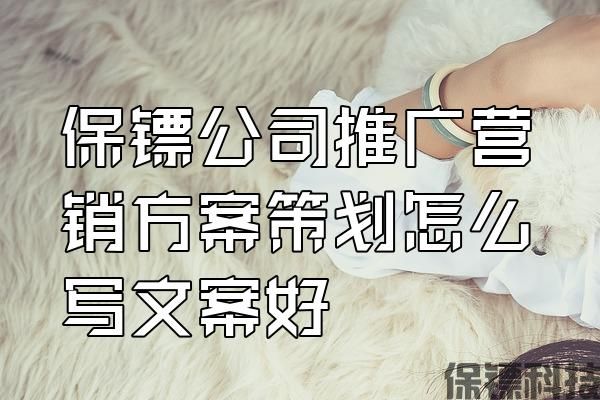 保鏢公司推廣營銷方案策劃怎么寫文案好