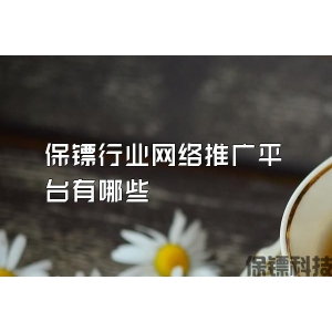 保鏢行業(yè)網(wǎng)絡(luò)推廣平臺(tái)有哪些