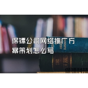 保鏢公司網(wǎng)絡推廣方案策劃怎么寫