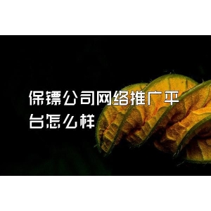 保鏢公司網絡推廣平臺怎么樣