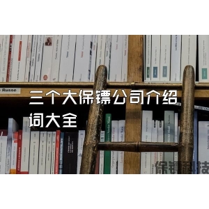 三個大保鏢公司介紹詞大全