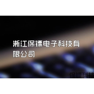 淅江保鏢電子科技有限公司