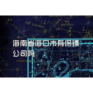 海南省?？谑杏斜ｇS公司嗎