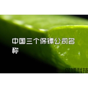 中國三個(gè)保鏢公司名稱